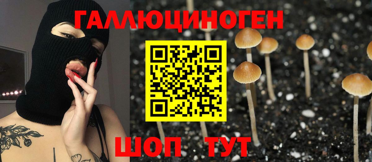 Балаково  Псилоцибиновые грибы ЛСД  Вход с VPN 